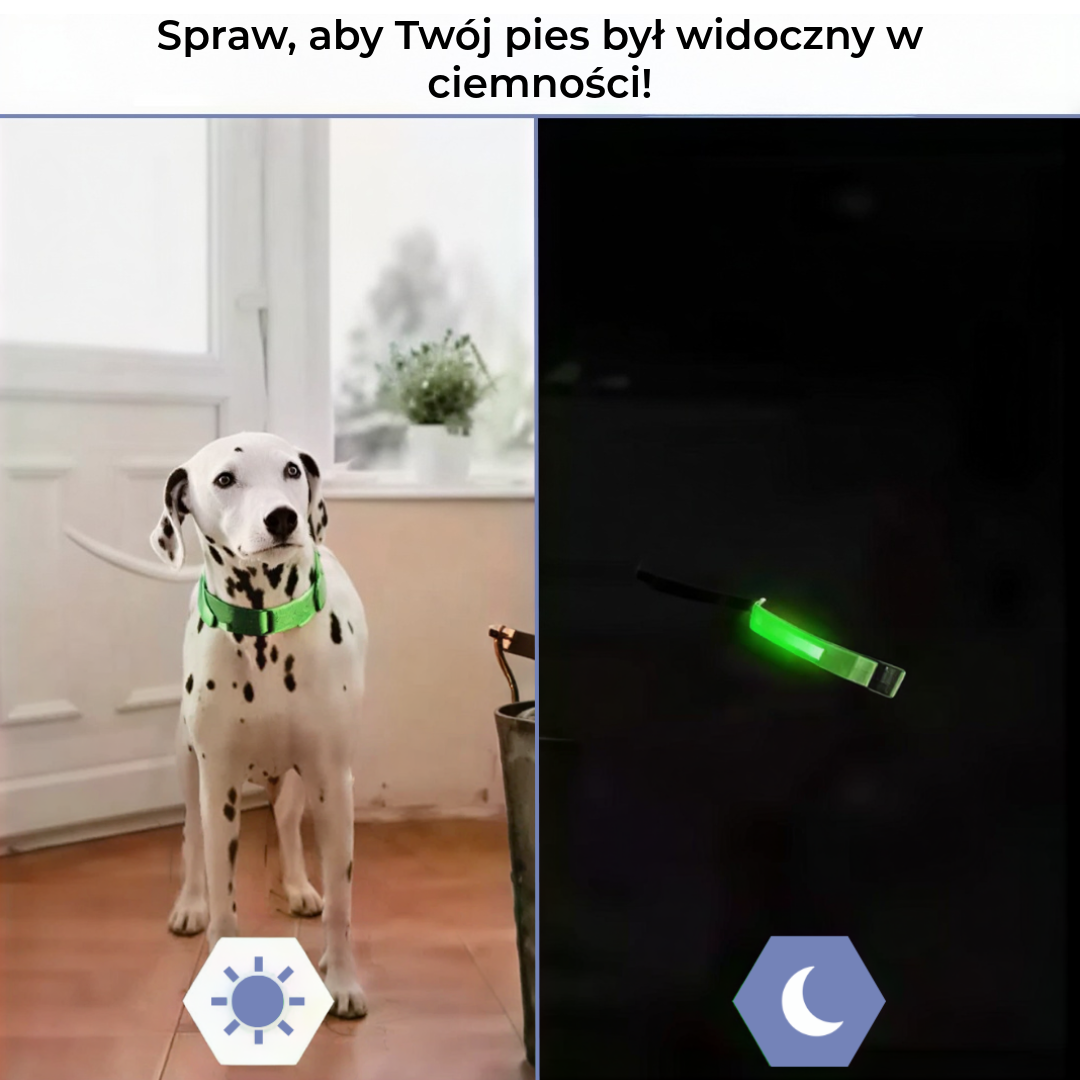LED Obroża dla Psów
