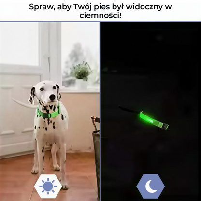 LED Obroża dla Psów